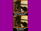 Confessional
